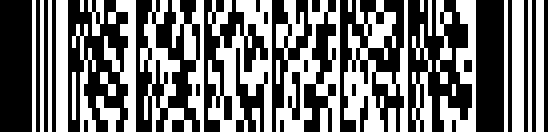 Il PDF417 barcode example